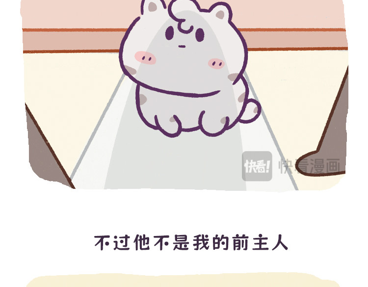 拽猫的北京生活 闻香识男人 第8页