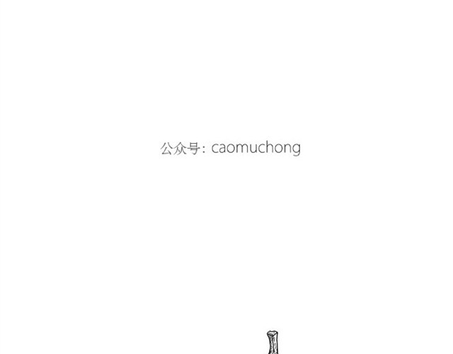 绘心一笑 师傅洗澡 第32页