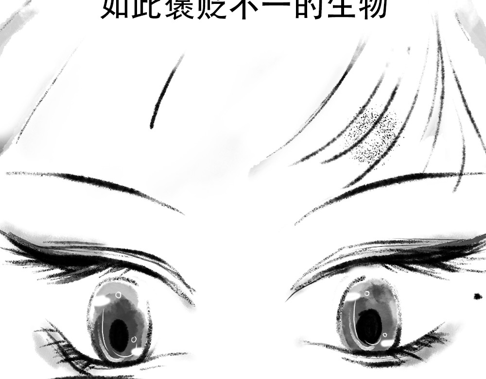 捡到一条蛇 序言 第12页