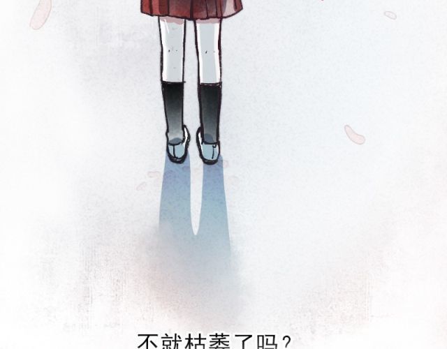 朝花惜时 第8页