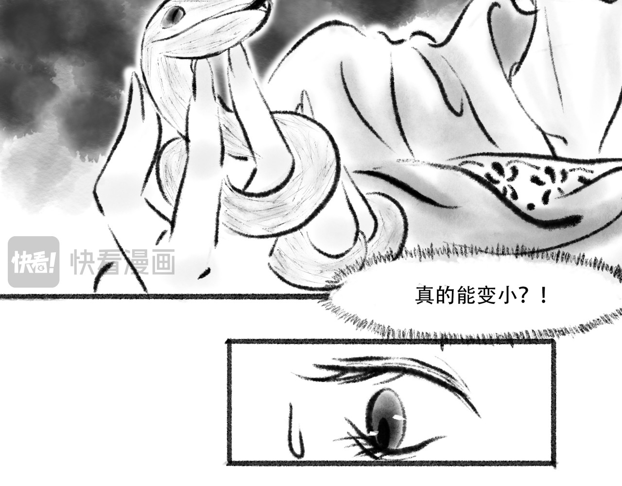 捡到一条蛇 谈和 第9页