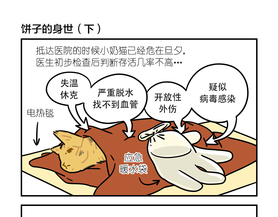 么一嗷喵（卷二） 【201-203】话 第12页