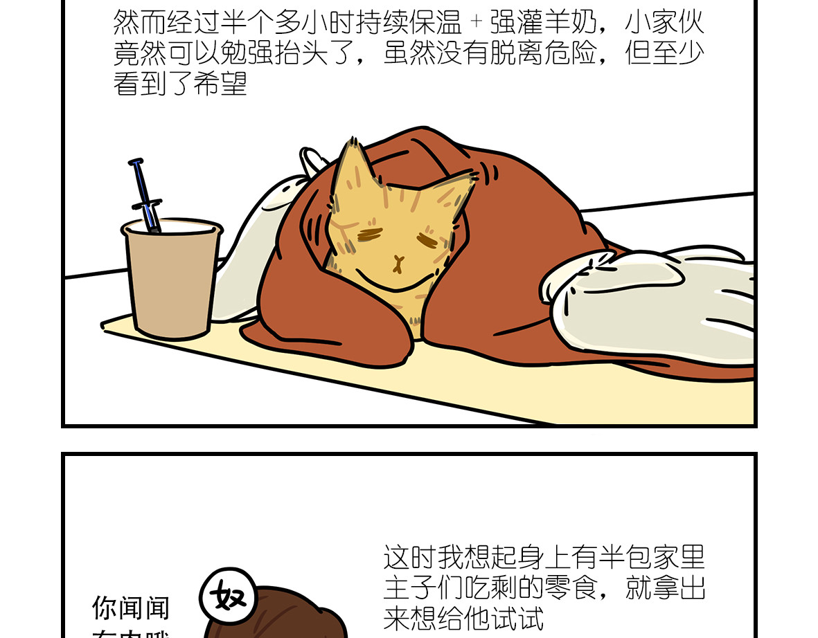 么一嗷喵（卷二） 【201-203】话 第13页