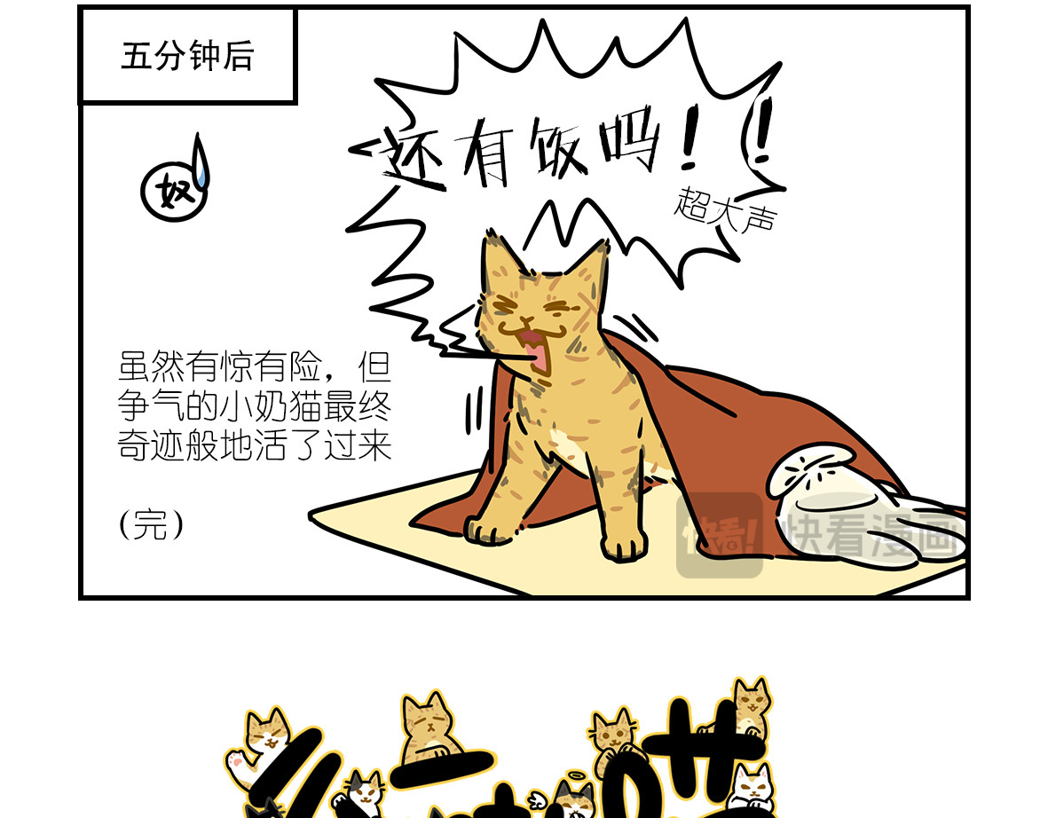 么一嗷喵（卷二） 【201-203】话 第16页