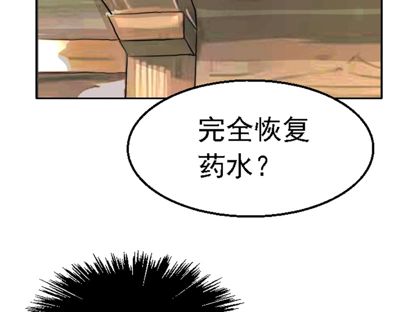 混沌之子 第一章 穿越异世 第65页