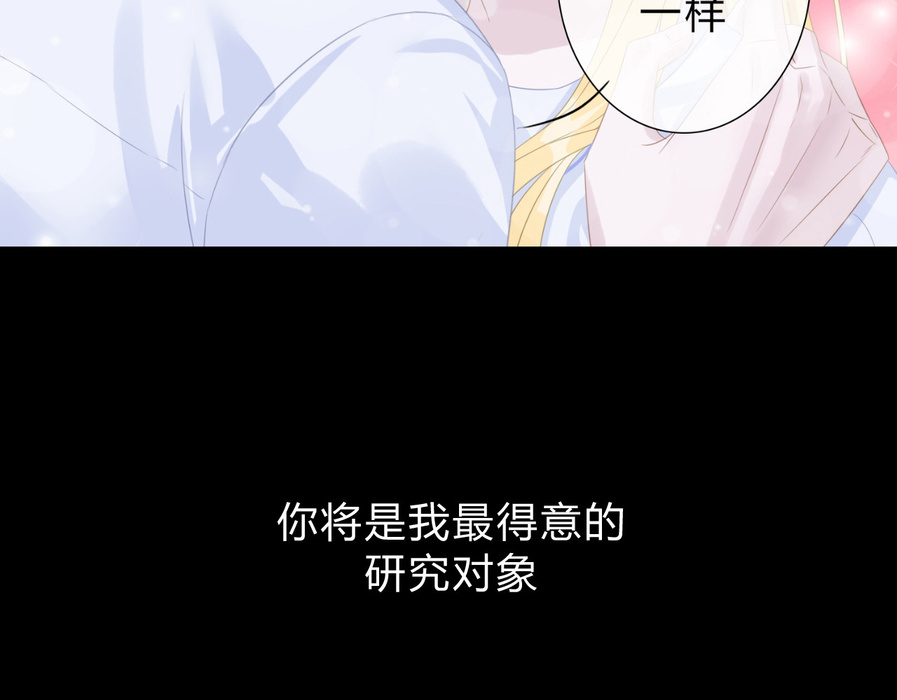 天使的誓约 入网的蝶 第14页