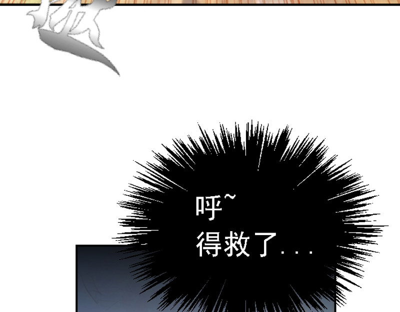 混沌之子 第五章 化险为夷 第4页