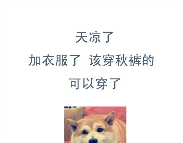 Sunday 第5+6话 可以收留它么？ 第74页