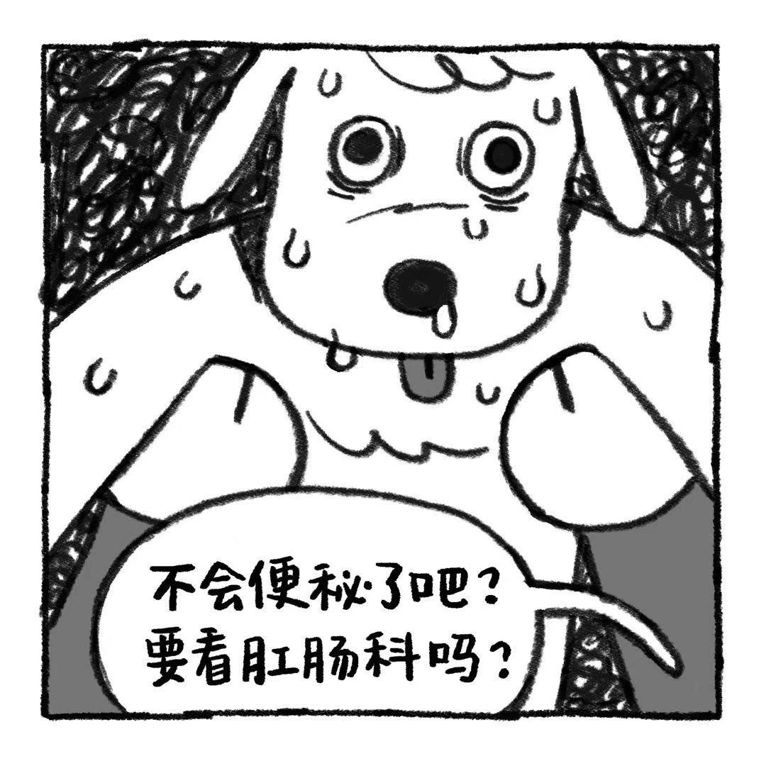 你的狗怪怪的 阿歹的秘密 第9页