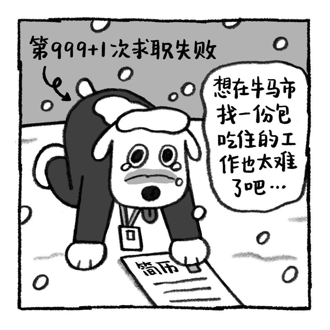 你的狗怪怪的 关于阿歹的铁饭碗是怎么来的 第2页