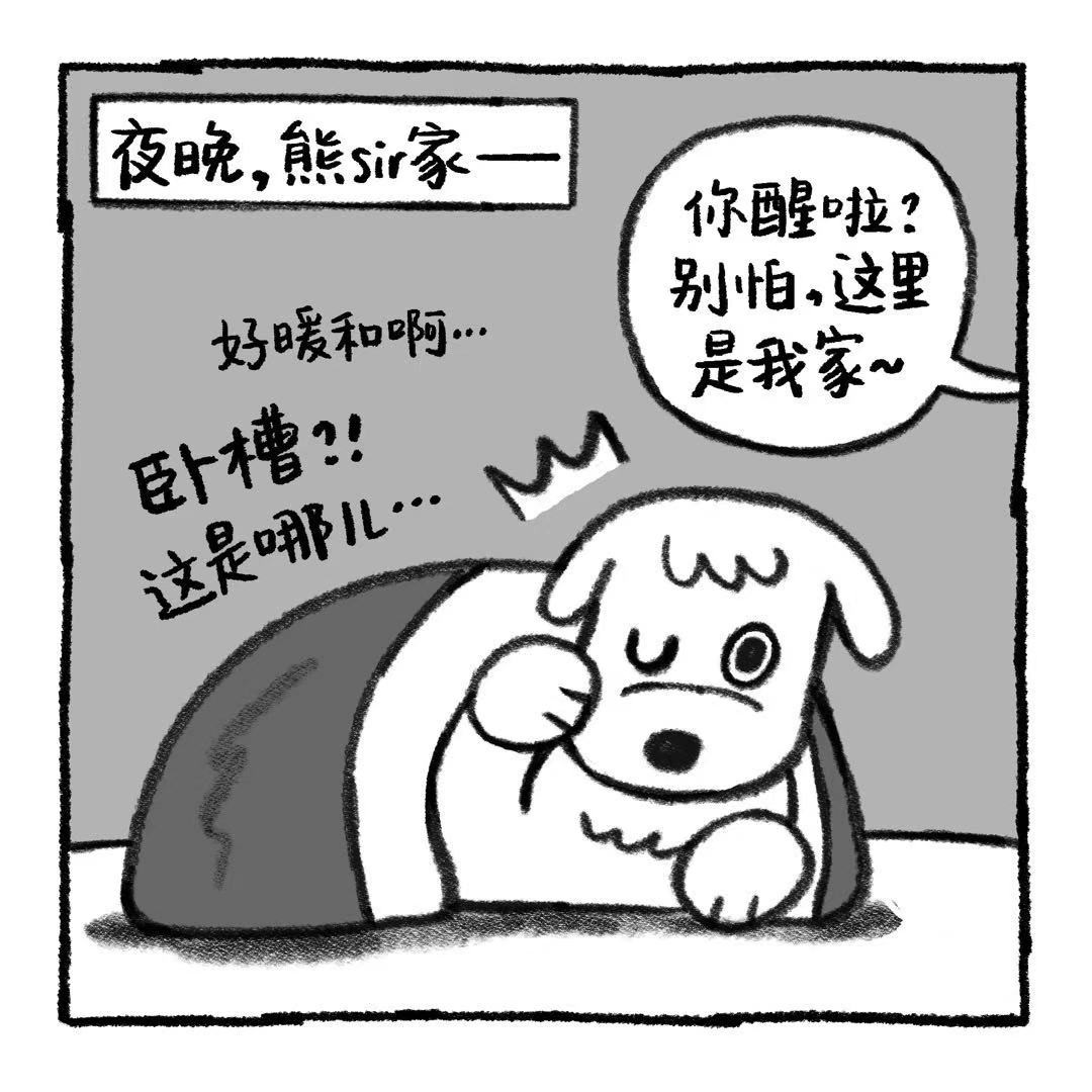 你的狗怪怪的 关于阿歹的铁饭碗是怎么来的 第11页