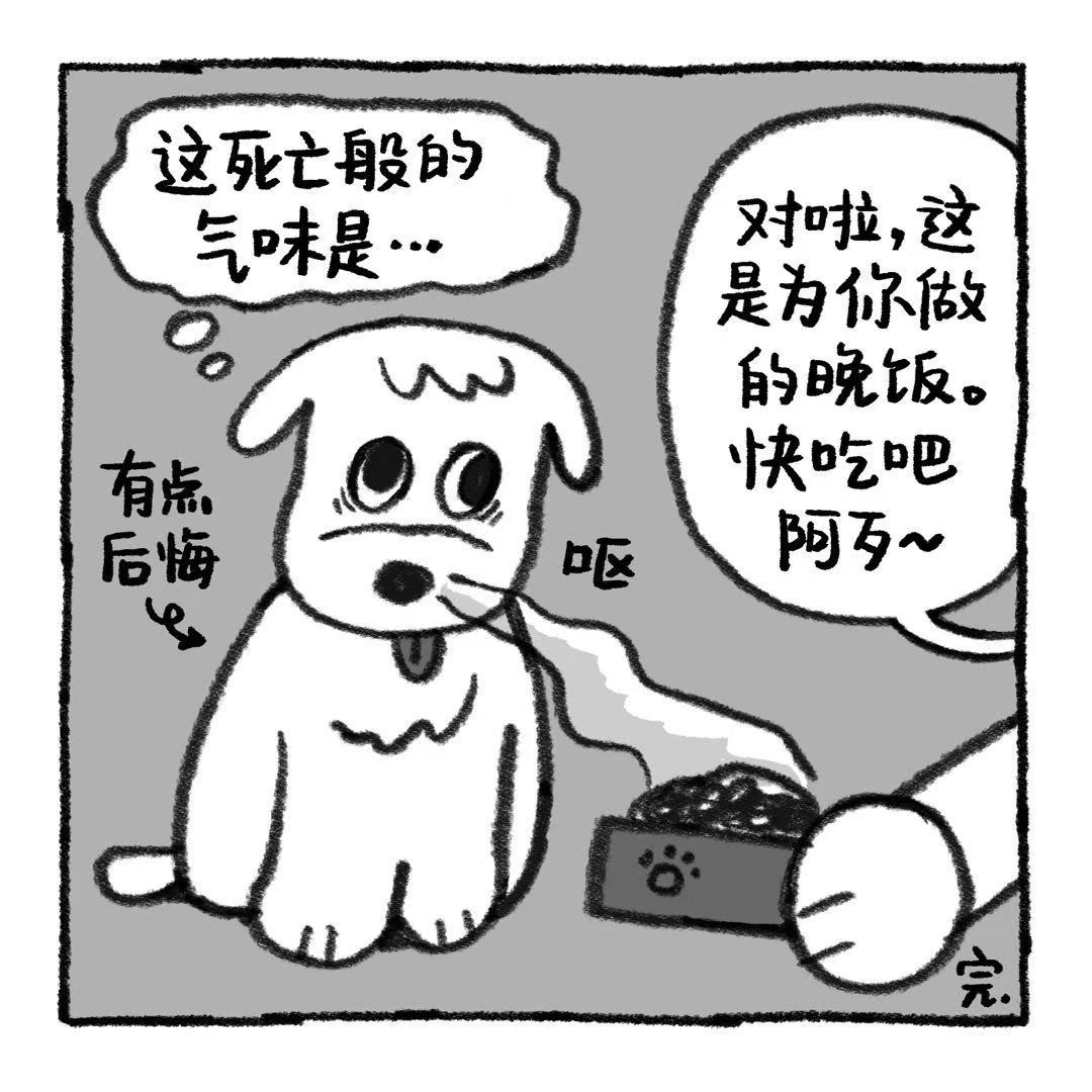 你的狗怪怪的 关于阿歹的铁饭碗是怎么来的 第14页