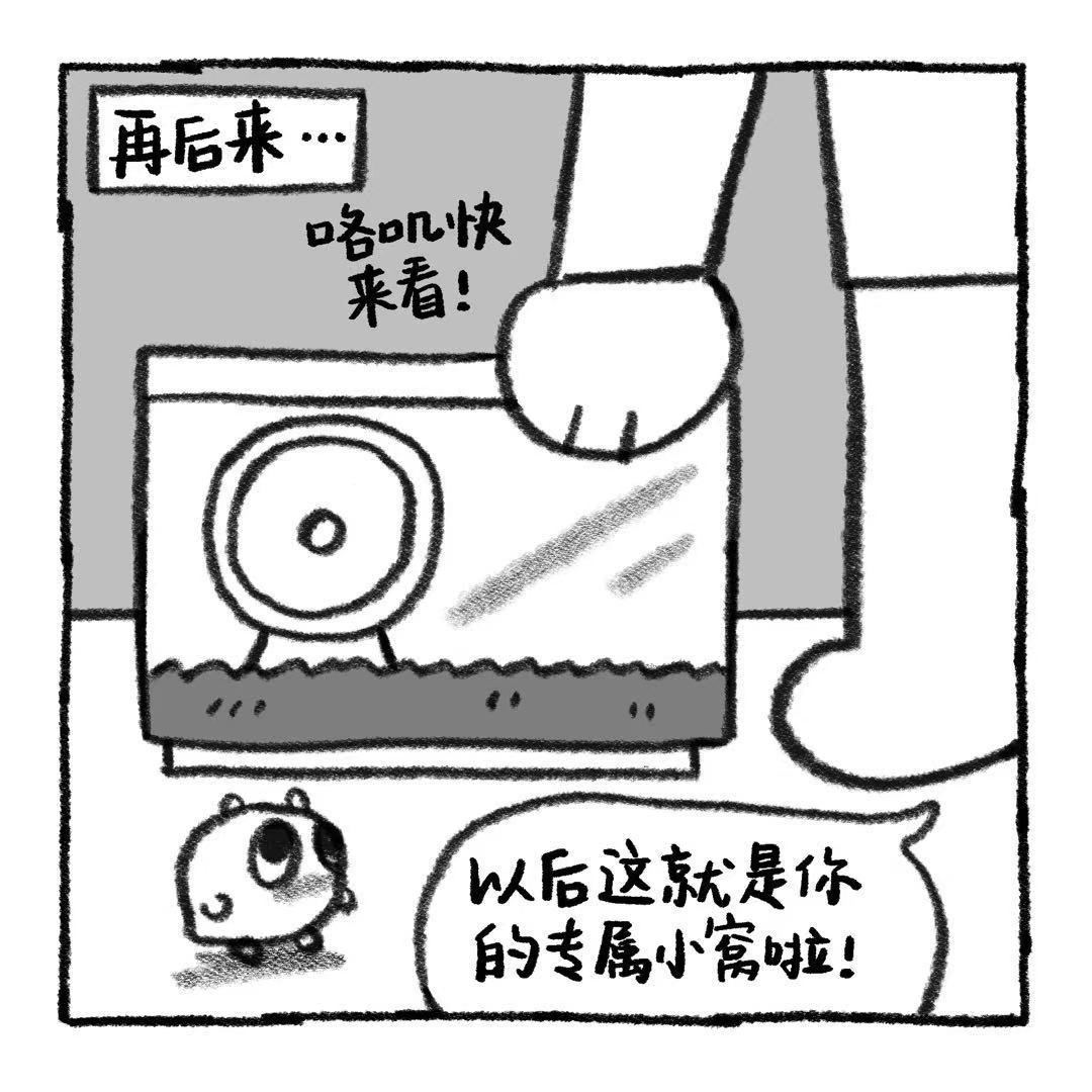 你的狗怪怪的 关于阿歹的铁饭碗是怎么来的 第22页