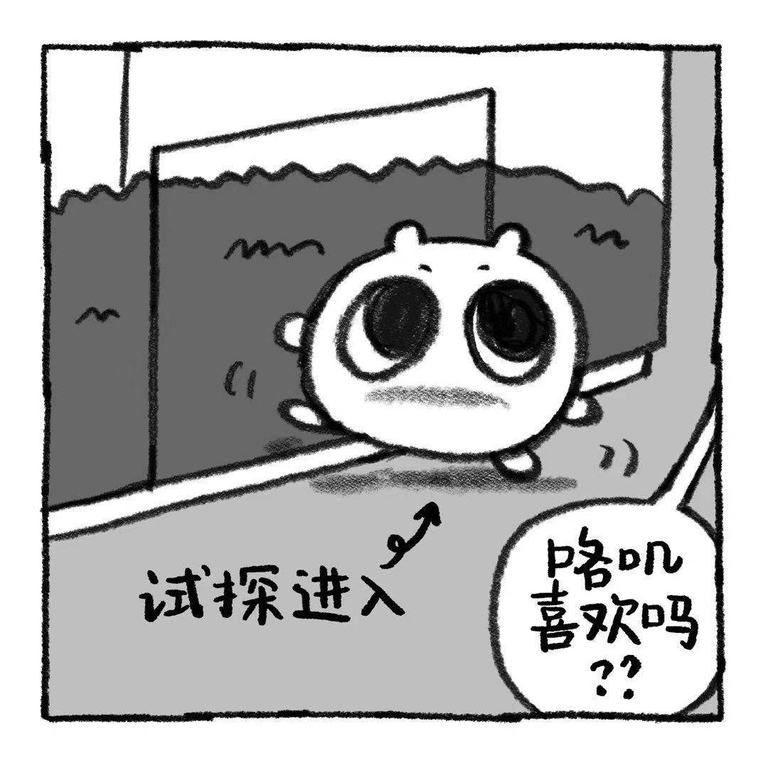 你的狗怪怪的 关于阿歹的铁饭碗是怎么来的 第23页