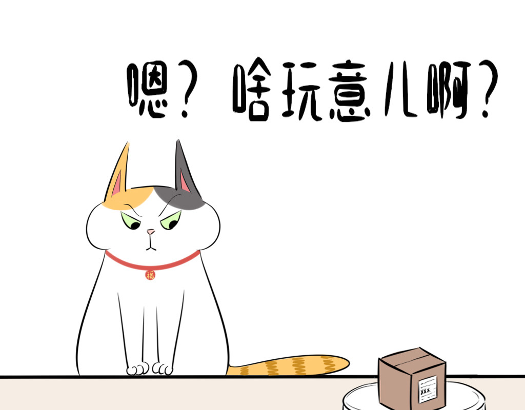 阿福日记 年货风波 第11页