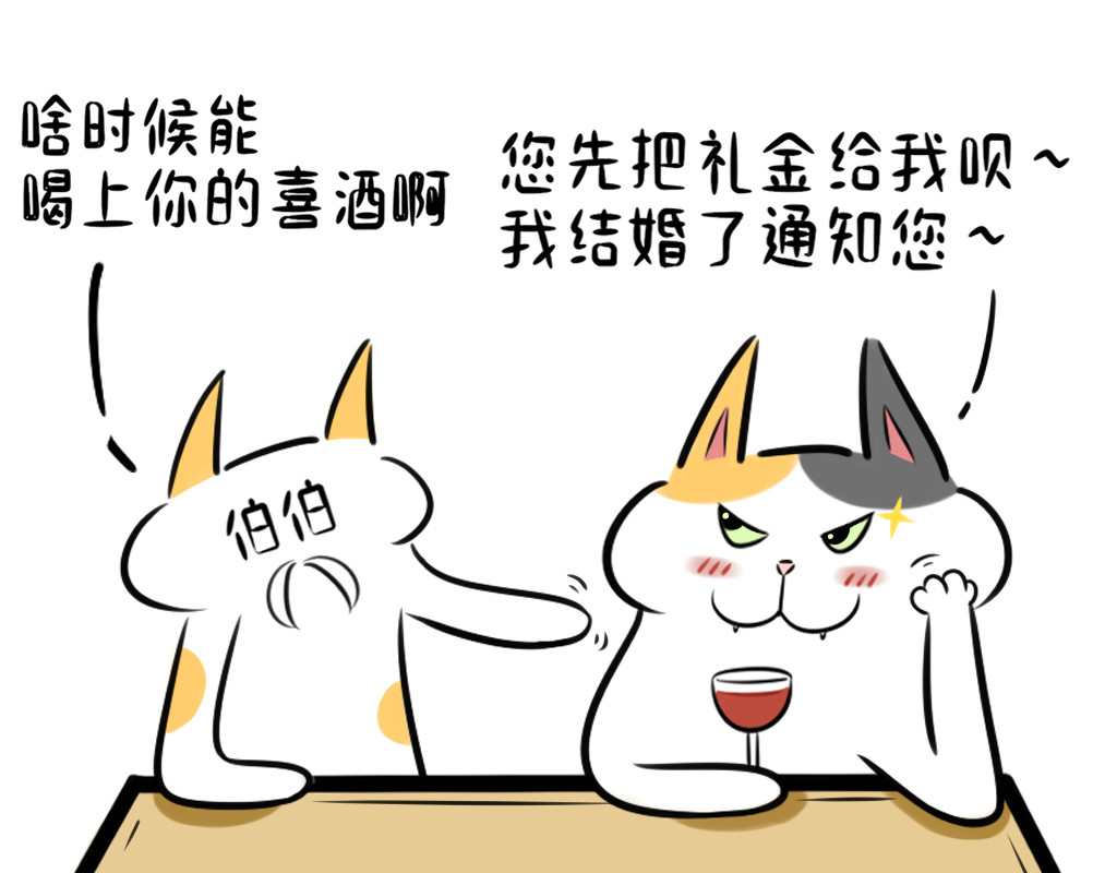 阿福日记 过年聊天指南 第11页