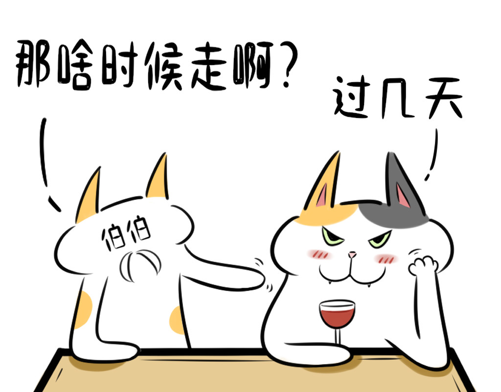 阿福日记 过年聊天指南 第5页
