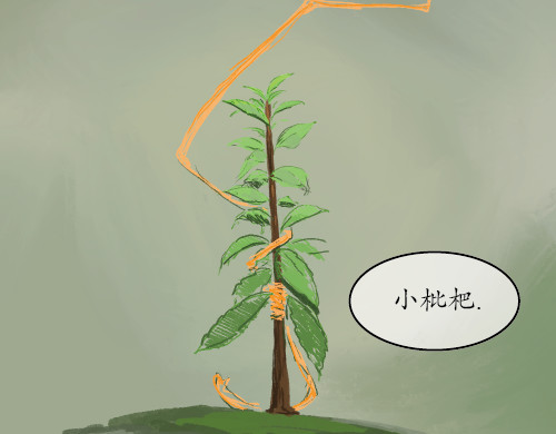 不渡青洲 序章 到来 第27页