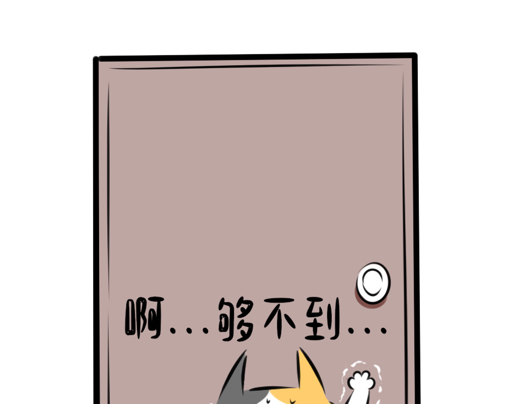阿福日记 情猫节 第45页