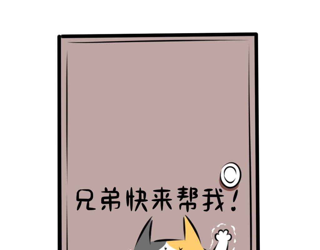 阿福日记 情猫节 第47页