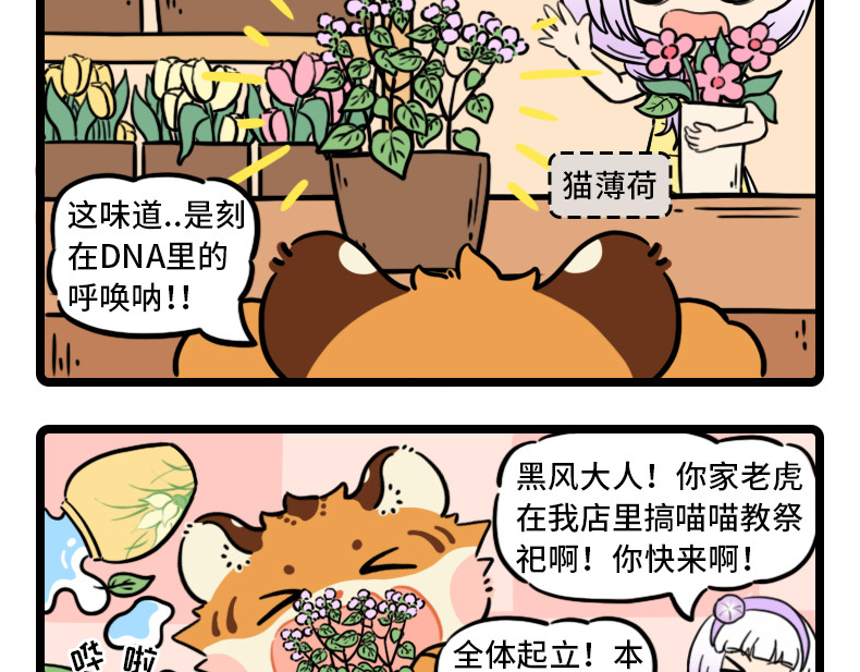 这有仙儿 5-6话 喵喵大仙 法力无边 第3页