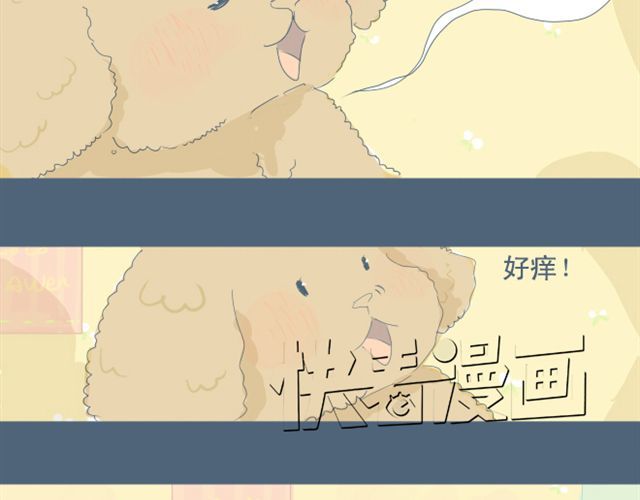 Sunday 第7+8话 两个人一起养狗培养感情 第4页