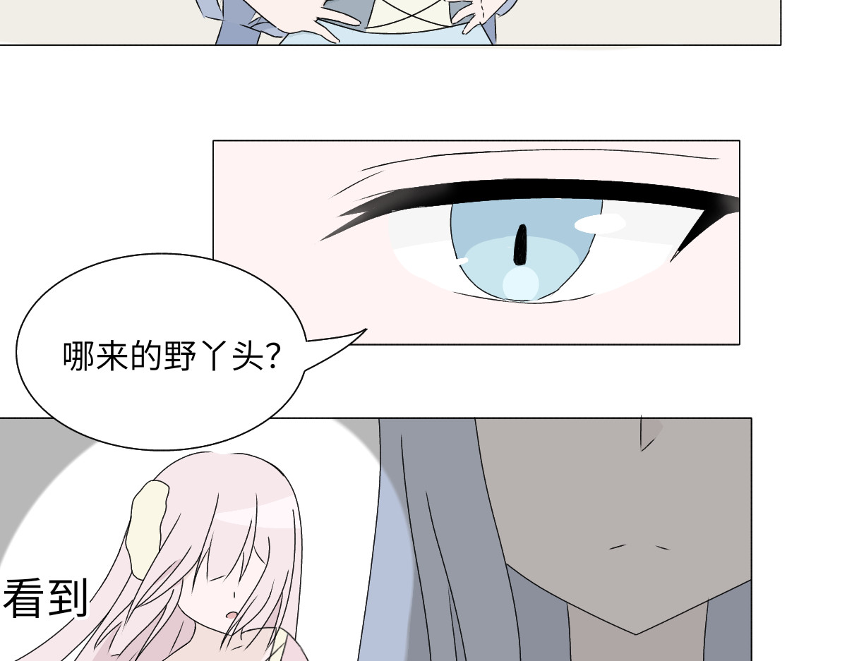 魔女的茶话会 第四章 误入阴谋 第5页