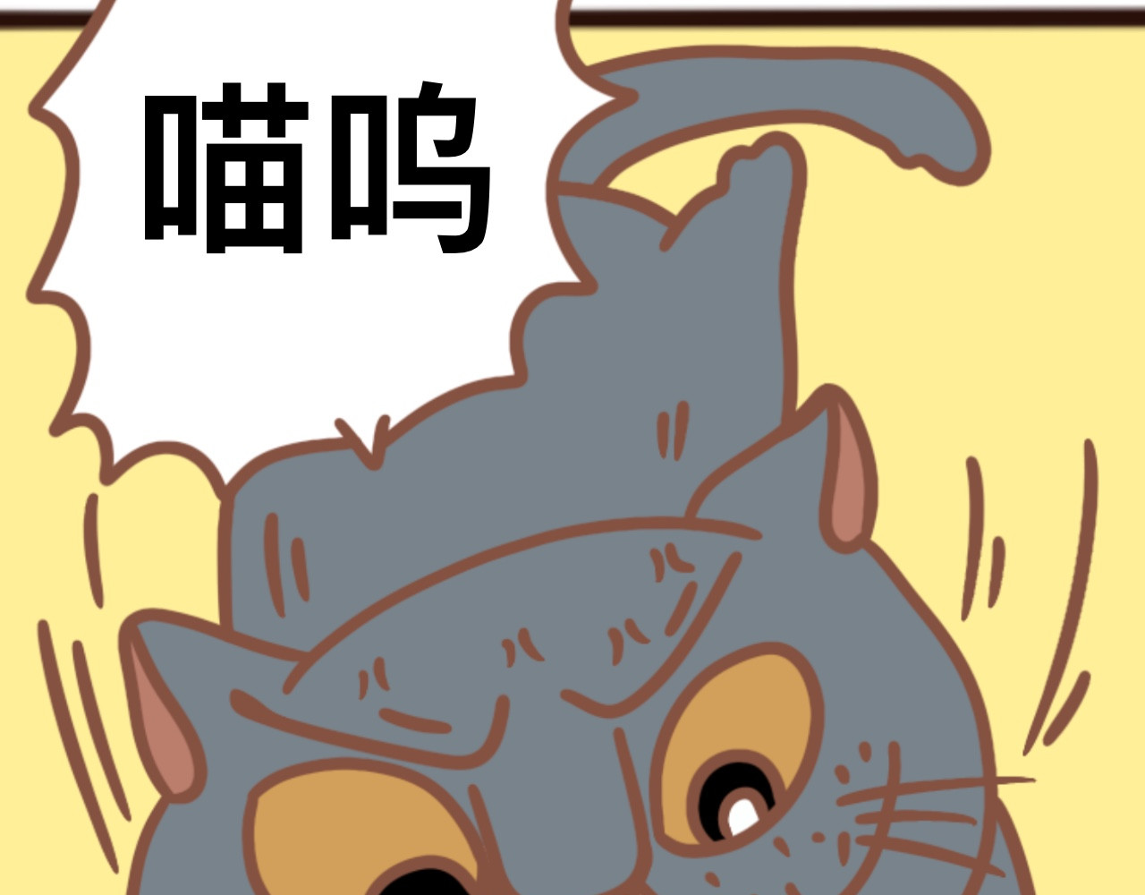 猫鼠之战 第一章节 不怕猫的药 第44页