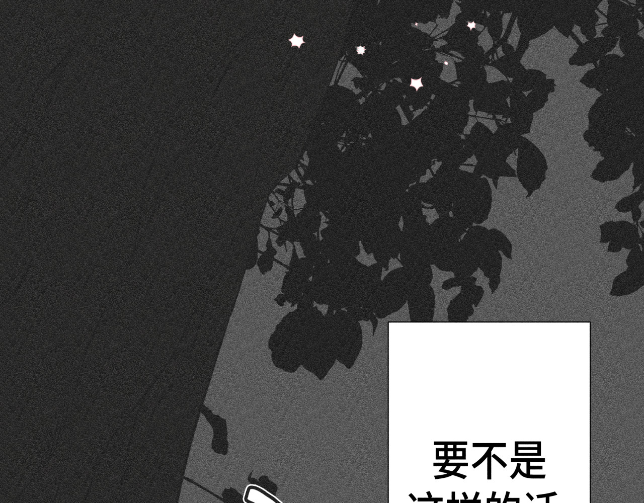 槐花盛开的季节 4.树木 第72页