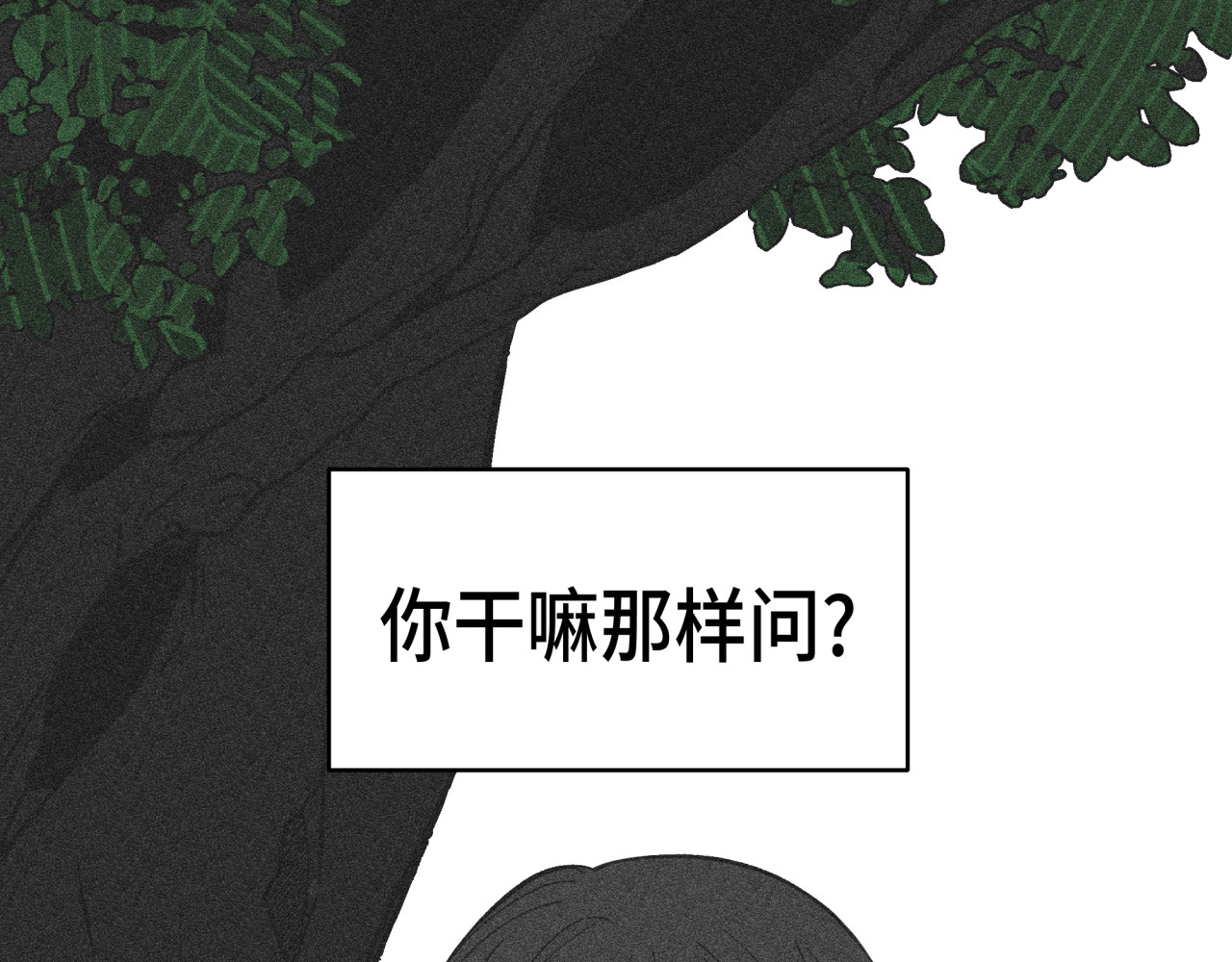 槐花盛开的季节 4.树木 第82页
