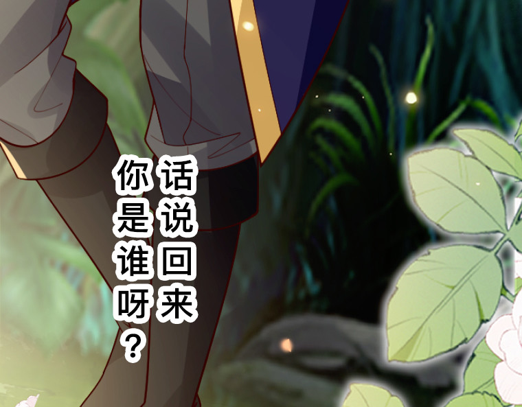 茶丸大人炸毛！伯爵不爱我 第2话：强制婚约·伯爵宣言永不爱你 第110页