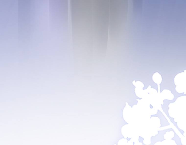茶丸大人炸毛！伯爵不爱我 第4话：三人初面·救贫院中的微妙三角 第12页